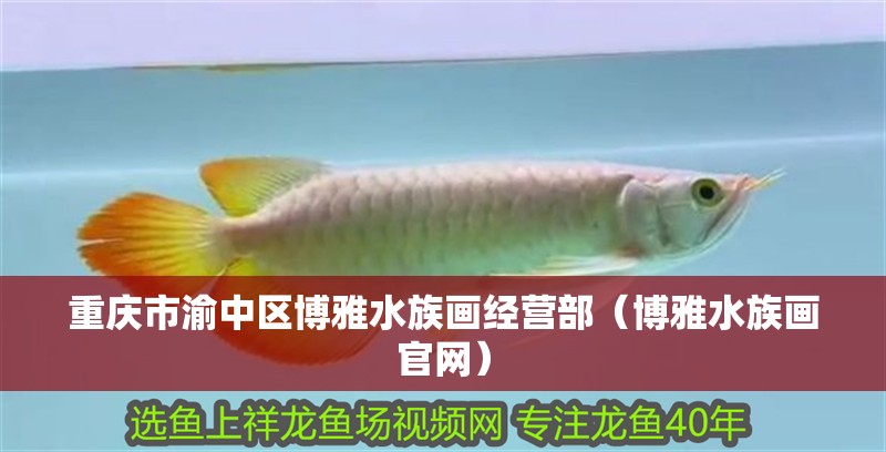 重慶市渝中區博雅水族畫經營部（博雅水族畫官網）