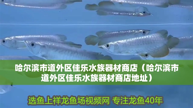哈爾濱市道外區佳樂水族器材商店（哈爾濱市道外區佳樂水族器材商店地址）
