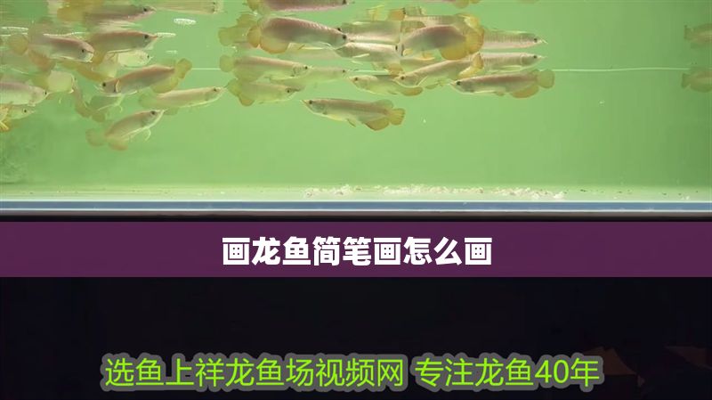 畫龍魚簡筆畫怎么畫