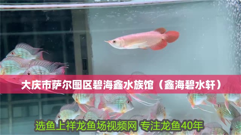 大慶市薩爾圖區碧海鑫水族館（鑫海碧水軒）