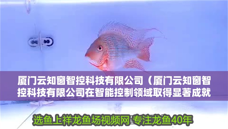 我的虎魚真菌感染了要怎么處理 廈門云知窗智控科技有限公司(廈門云知窗智控科技有限公司在智能控制領域取得顯著成就) 全國水族館企業名錄 廈門云知窗智控科技有限公司(廈門云知窗智控科技有限公司在智能控制領域取得顯著成就) 廈門云知窗智控科技有限公司(廈門云知窗智控科技有限公司在智能控制領域取得顯著成就) 全國水族館企業名錄