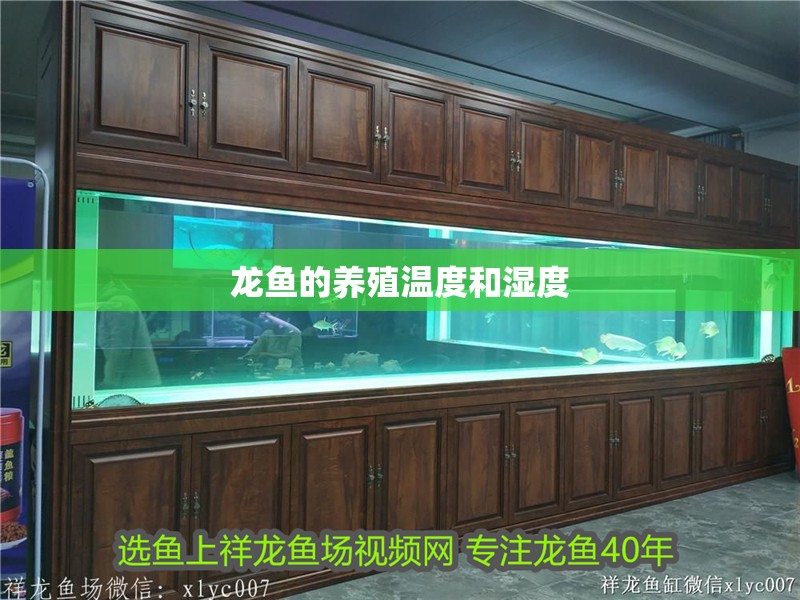 龍魚的養殖溫度和濕度