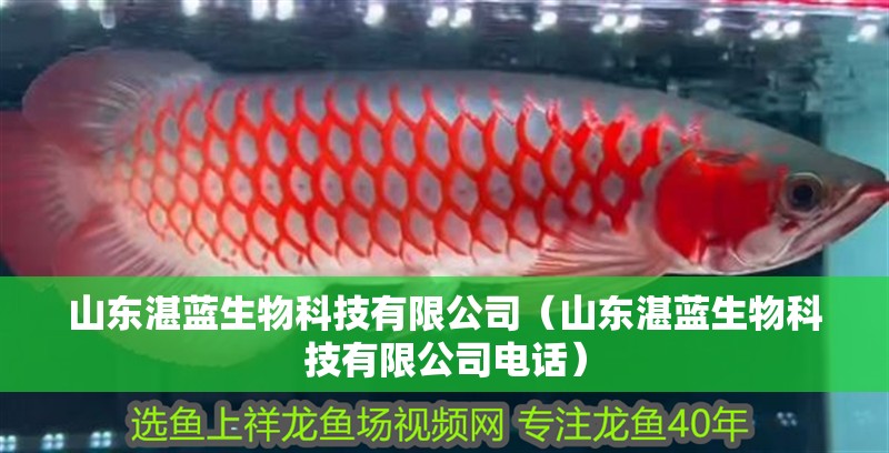 山東湛藍生物科技有限公司(山東湛藍生物科技有限公司電話) 全國水族館企業名錄 第2張 山東湛藍生物科技有限公司(山東湛藍生物科技有限公司電話) 山東湛藍生物科技有限公司(山東湛藍生物科技有限公司電話) 全國水族館企業名錄 第2張