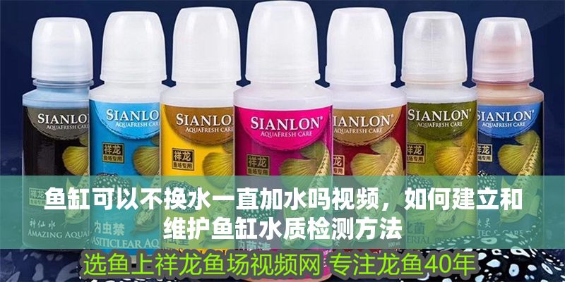 魚缸可以不換水一直加水嗎視頻，如何建立和維護魚缸水質檢測方法 魚缸可以不換水一直加水嗎視頻，如何建立和維護魚缸水質檢測方法 魚缸百科 第2張