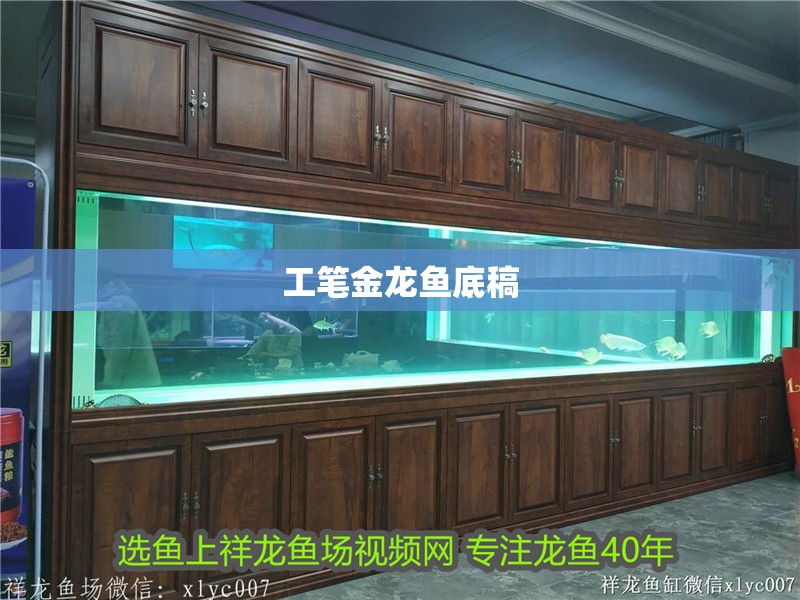 工筆金龍魚底稿