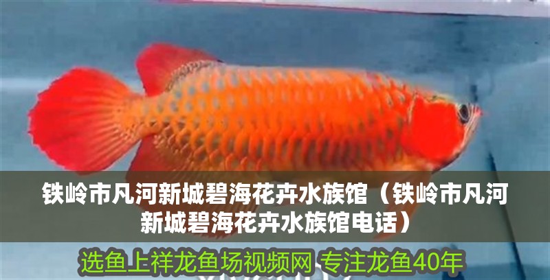 鐵嶺市凡河新城碧?；ɑ芩屦^（鐵嶺市凡河新城碧?；ɑ芩屦^電話）