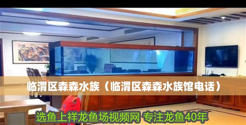 臨渭區森森水族（臨渭區森森水族館電話）