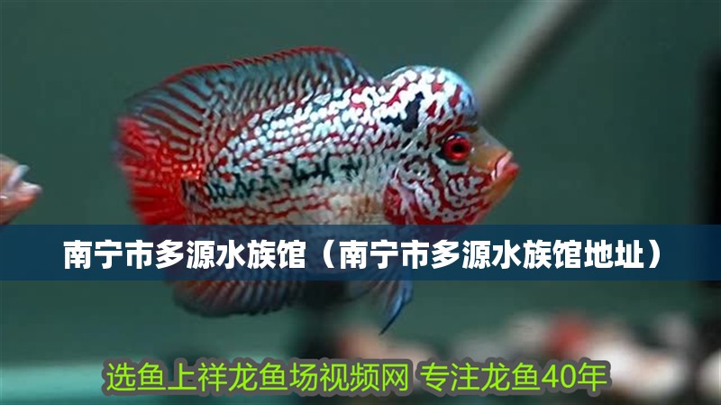 南寧市多源水族館（南寧市多源水族館地址） 南寧市多源水族館（南寧市多源水族館地址） 全國(guó)水族館企業(yè)名錄 第2張