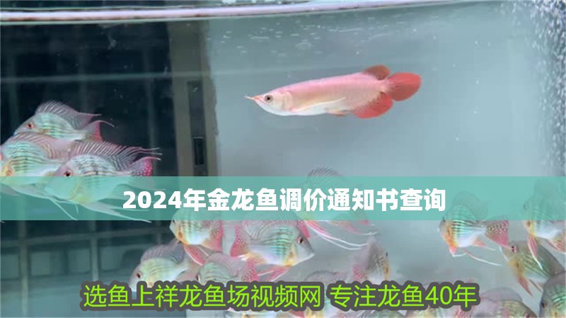 2024年金龍魚調價通知書查詢