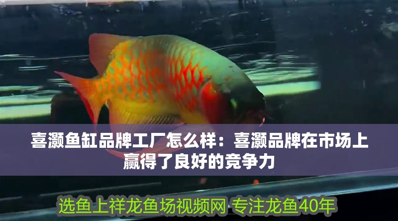喜灝魚缸品牌工廠怎么樣：喜灝品牌在市場上贏得了良好的競爭力