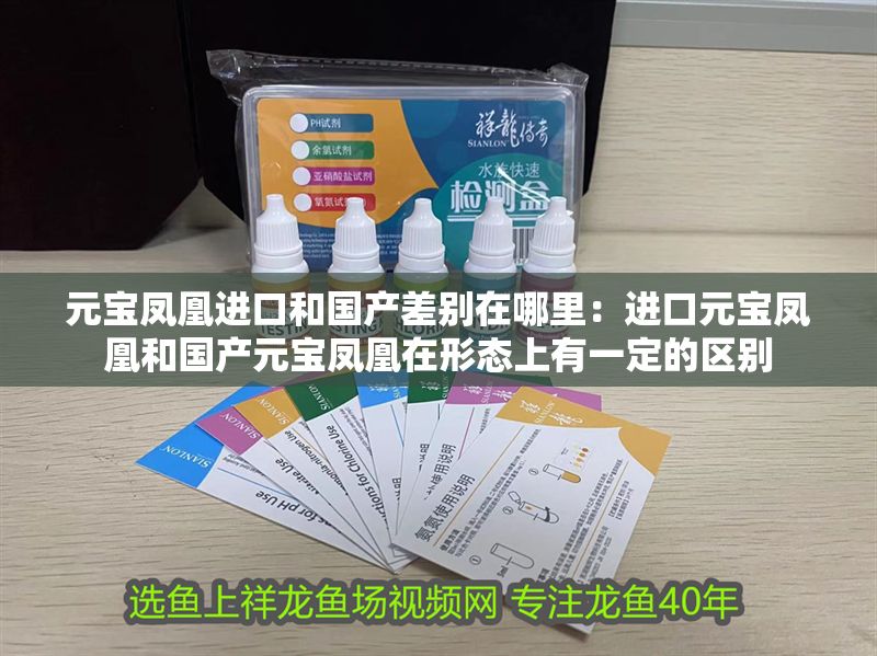 元寶鳳凰進(jìn)口和國產(chǎn)差別在哪里：進(jìn)口元寶鳳凰和國產(chǎn)元寶鳳凰在形態(tài)上有一定的區(qū)別