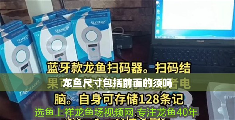 龍魚尺寸包括前面的須嗎