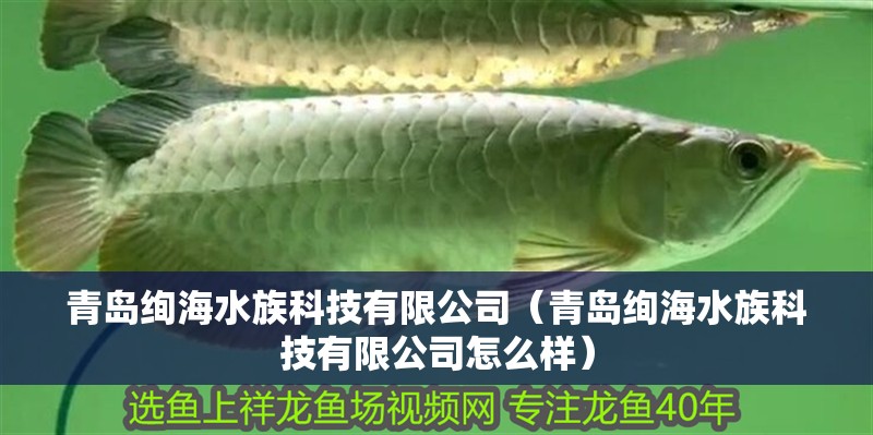 青島絢海水族科技有限公司（青島絢海水族科技有限公司怎么樣） 青島絢海水族科技有限公司（青島絢海水族科技有限公司怎么樣） 全國水族館企業名錄 第2張