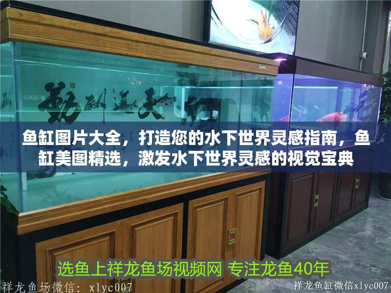 魚缸圖片大全，打造您的水下世界靈感指南，魚缸美圖精選，激發(fā)水下世界靈感的視覺寶典