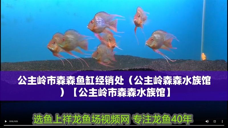 公主嶺市森森魚缸經(jīng)銷處（公主嶺森森水族館）【公主嶺市森森水族館】 公主嶺市森森魚缸經(jīng)銷處（公主嶺森森水族館）【公主嶺市森森水族館】 全國水族館企業(yè)名錄