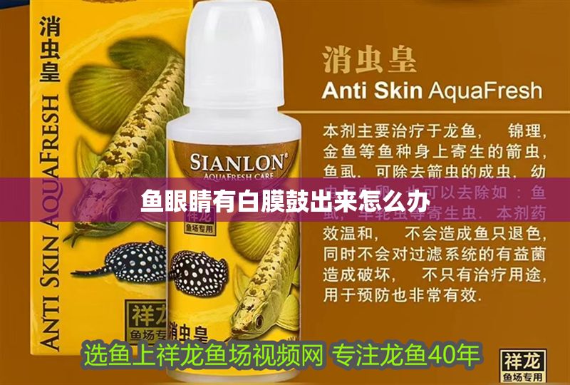 魚眼睛有白膜鼓出來怎么辦