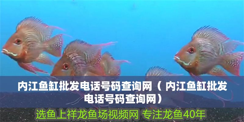 內江魚缸批發電話號碼查詢網（ 內江魚缸批發電話號碼查詢網）