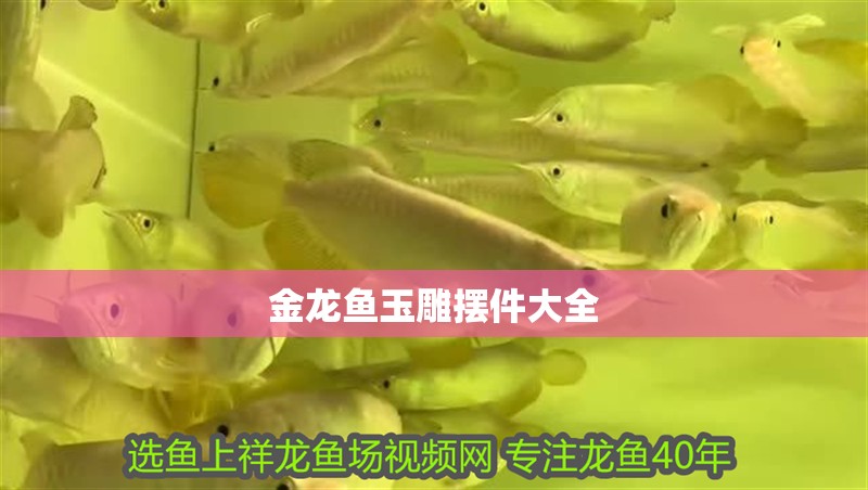 金龍魚玉雕擺件大全