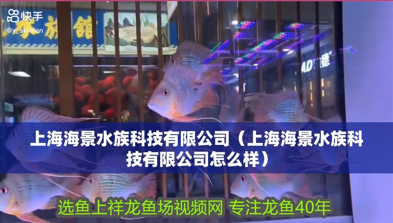 上海海景水族科技有限公司（上海海景水族科技有限公司怎么樣）