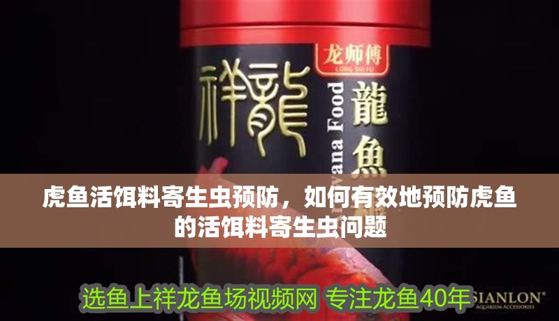 虎魚活餌料寄生蟲預防，如何有效地預防虎魚的活餌料寄生蟲問題