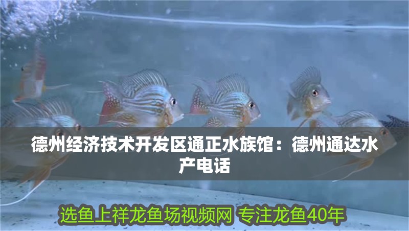 德州經濟技術開發區通正水族館：德州通達水產電話 德州經濟技術開發區通正水族館：德州通達水產電話 全國水族館企業名錄 第2張
