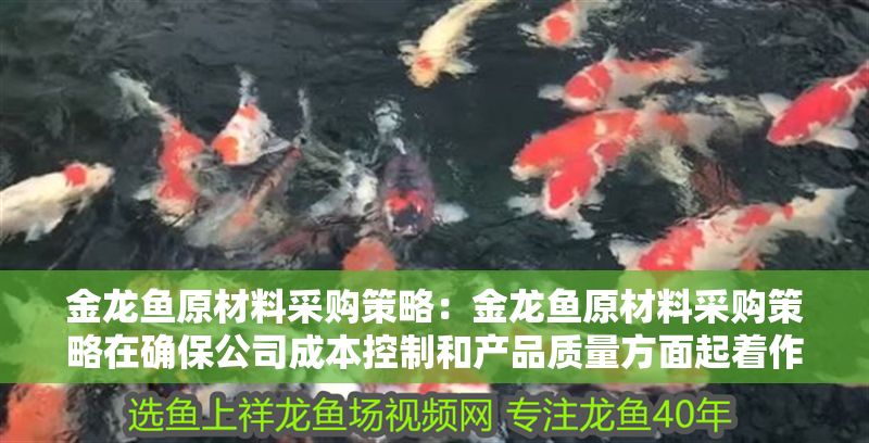 金龍魚(yú)原材料采購(gòu)策略：金龍魚(yú)原材料采購(gòu)策略在確保公司成本控制和產(chǎn)品質(zhì)量方面起著作用