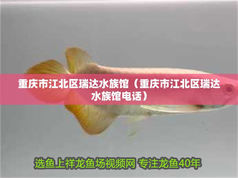 重慶市江北區(qū)瑞達(dá)水族館（重慶市江北區(qū)瑞達(dá)水族館電話）