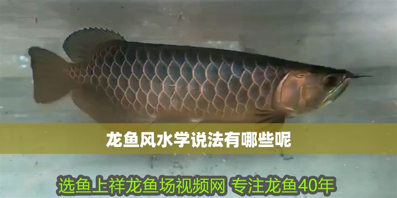 龍魚風水學說法有哪些呢