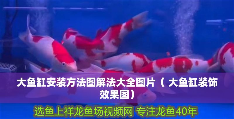 大魚缸安裝方法圖解法大全圖片（ 大魚缸裝飾效果圖）
