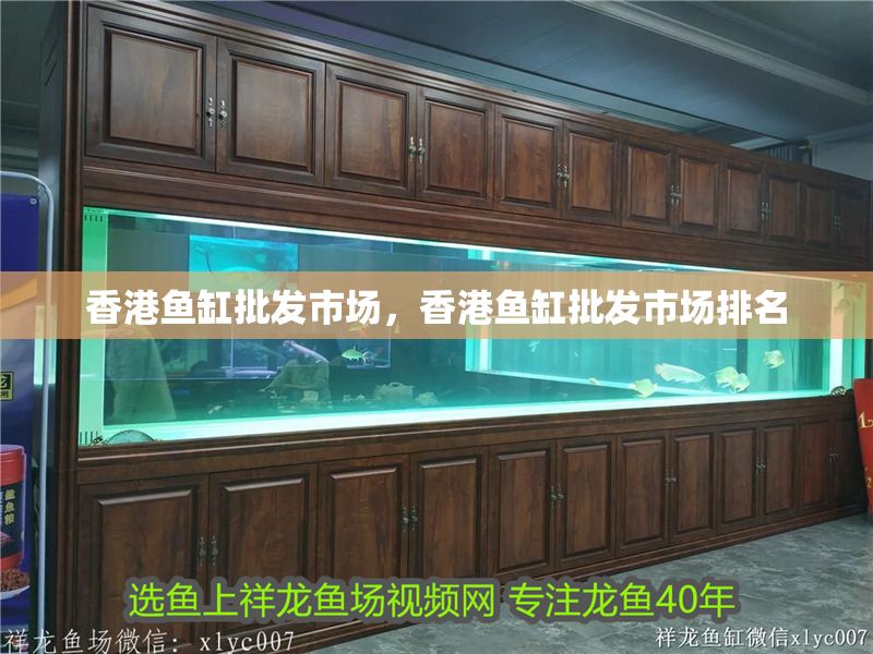 香港魚缸批發市場，香港魚缸批發市場排名