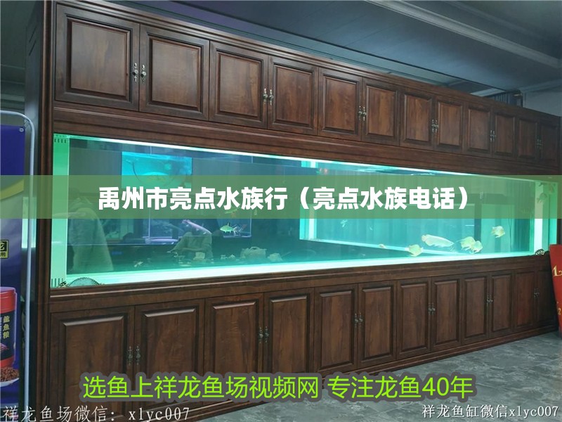 禹州市亮點水族行（亮點水族電話）