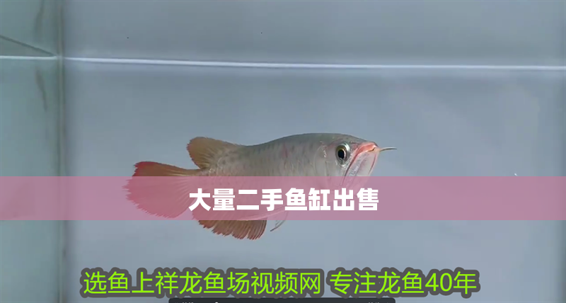 大量二手魚(yú)缸出售