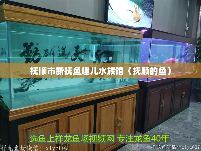 撫順市新撫魚趣兒水族館（撫順的魚）