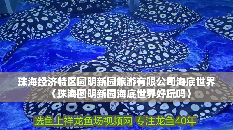 珠海經濟特區圓明新園旅游有限公司海底世界（珠海圓明新園海底世界好玩嗎）