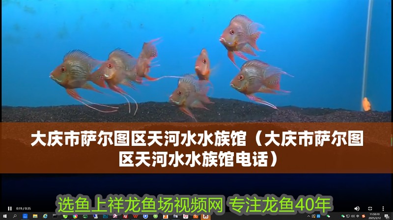 大慶市薩爾圖區天河水水族館（大慶市薩爾圖區天河水水族館電話） 大慶市薩爾圖區天河水水族館（大慶市薩爾圖區天河水水族館電話） 全國水族館企業名錄 第2張