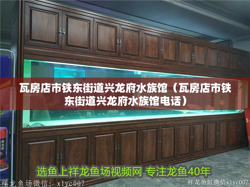 瓦房店市鐵東街道興龍府水族館（瓦房店市鐵東街道興龍府水族館電話）