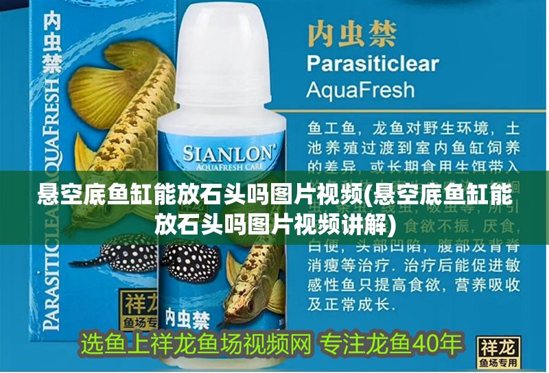 懸空底魚(yú)缸能放石頭嗎圖片視頻(懸空底魚(yú)缸能放石頭嗎圖片視頻講解)