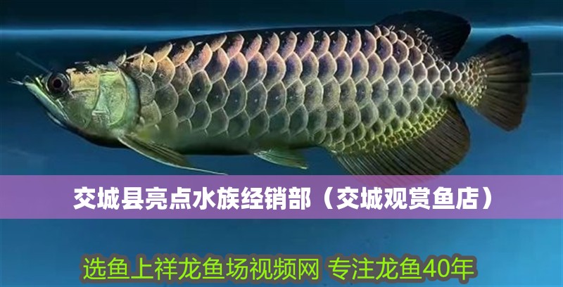 交城縣亮點(diǎn)水族經(jīng)銷部（交城觀賞魚店） 交城縣亮點(diǎn)水族經(jīng)銷部（交城觀賞魚店） 全國(guó)水族館企業(yè)名錄 第2張