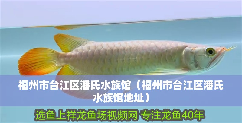 福州市臺江區潘氏水族館（福州市臺江區潘氏水族館地址） 福州市臺江區潘氏水族館（福州市臺江區潘氏水族館地址） 全國水族館企業名錄 第2張