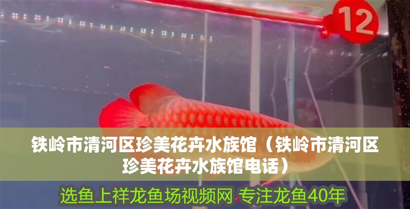 鐵嶺市清河區(qū)珍美花卉水族館（鐵嶺市清河區(qū)珍美花卉水族館電話）