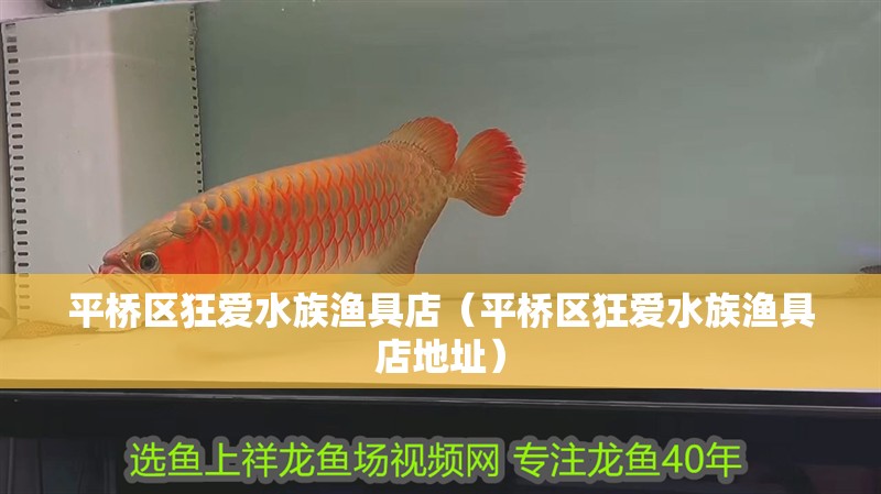 平橋區(qū)狂愛水族漁具店(平橋區(qū)狂愛水族漁具店地址) 全國水族館企業(yè)名錄 第2張 平橋區(qū)狂愛水族漁具店(平橋區(qū)狂愛水族漁具店地址) 平橋區(qū)狂愛水族漁具店(平橋區(qū)狂愛水族漁具店地址) 全國水族館企業(yè)名錄 第2張
