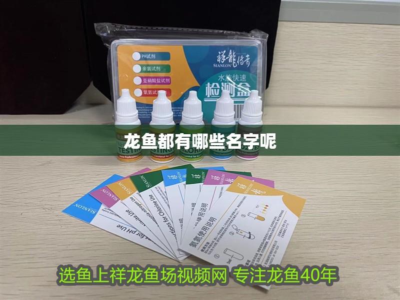 龍魚都有哪些名字呢