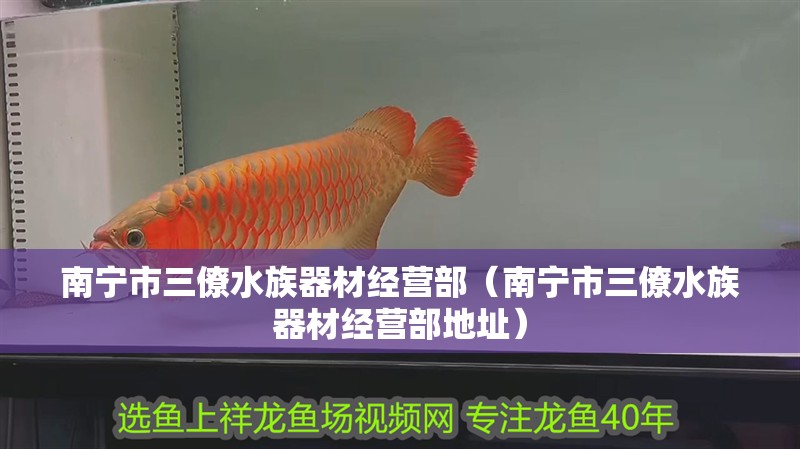 南寧市三僚水族器材經營部（南寧市三僚水族器材經營部地址）