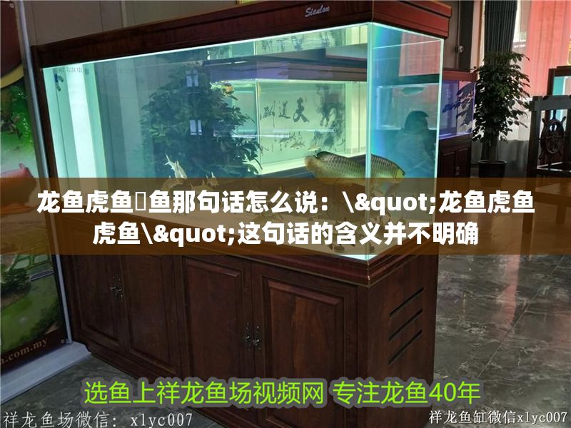 龍魚虎魚魟魚那句話怎么說：\"龍魚虎魚虎魚\"這句話的含義并不明確