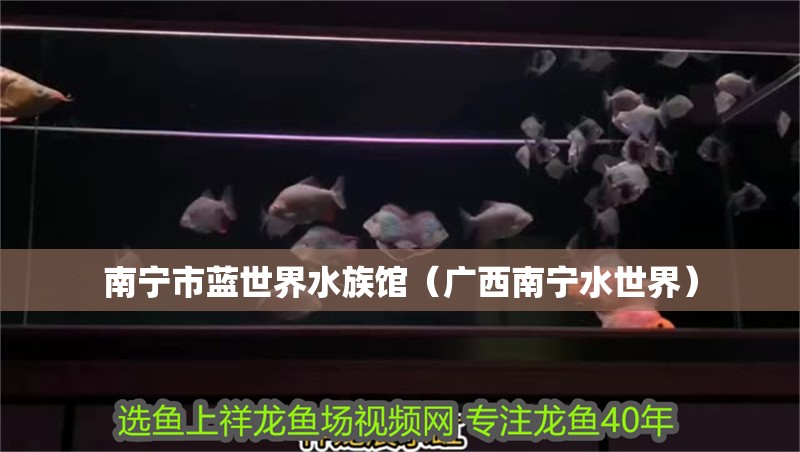南寧市藍世界水族館（廣西南寧水世界） 南寧市藍世界水族館（廣西南寧水世界） 全國水族館企業名錄 第2張