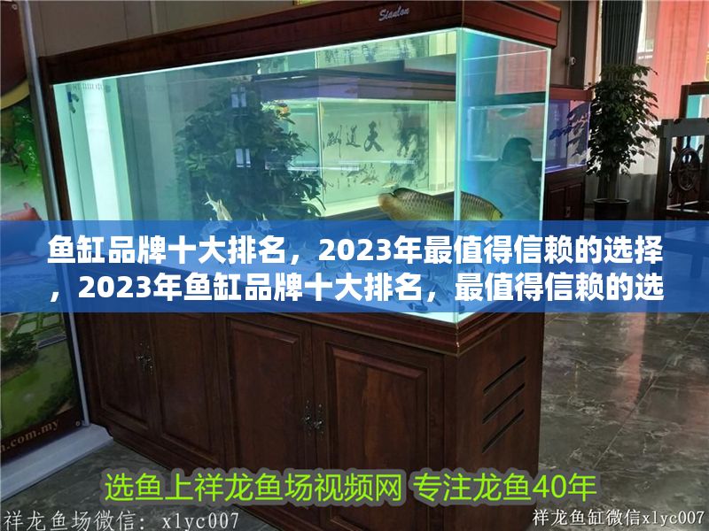 魚缸品牌十大排名，2023年最值得信賴的選擇，2023年魚缸品牌十大排名，最值得信賴的選擇