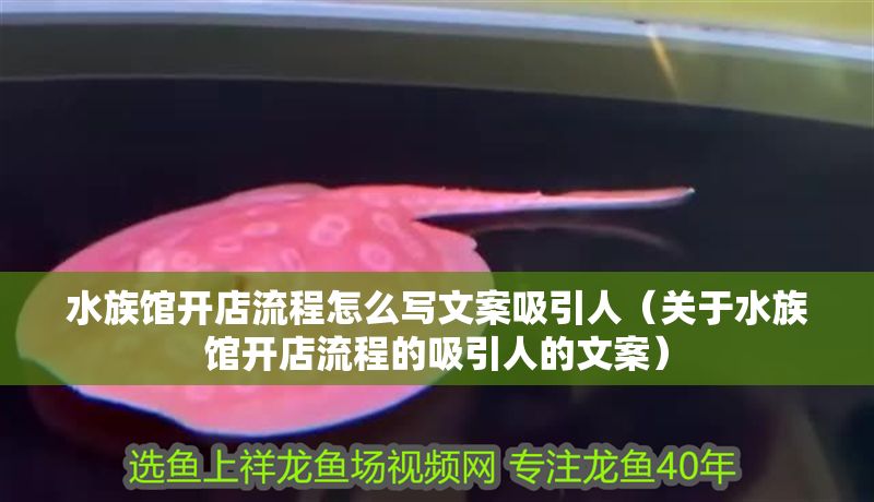 水族館開店流程怎么寫文案吸引人(關于水族館開店流程的吸引人的文案) 水族館百科(水族館加盟) 第1張 水族館開店流程怎么寫文案吸引人(關于水族館開店流程的吸引人的文案) 水族館開店流程怎么寫文案吸引人(關于水族館開店流程的吸引人的文案) 水族館百科(水族館加盟) 第1張