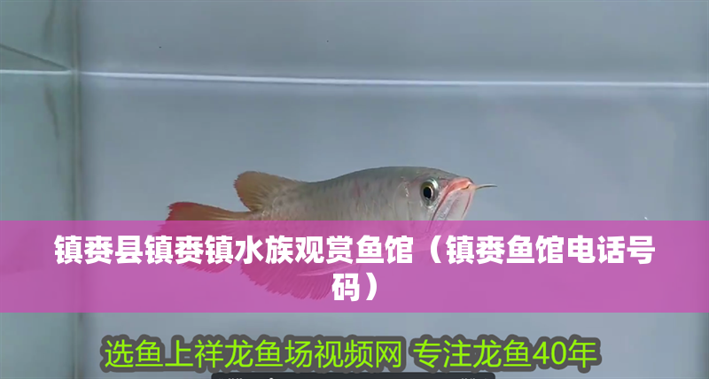 鎮賚縣鎮賚鎮水族觀賞魚館（鎮賚魚館電話號碼）