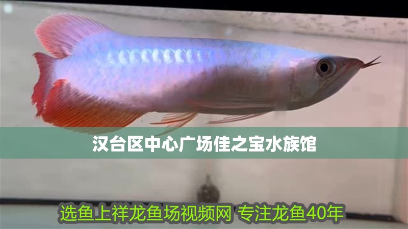 漢臺區中心廣場佳之寶水族館 全國水族館企業名錄 第2張 漢臺區中心廣場佳之寶水族館 漢臺區中心廣場佳之寶水族館 全國水族館企業名錄 第2張