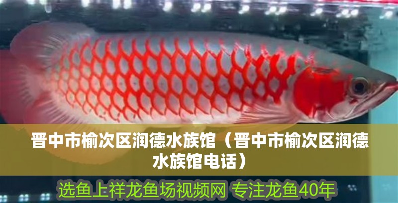 晉中市榆次區(qū)潤(rùn)德水族館（晉中市榆次區(qū)潤(rùn)德水族館電話(huà)）